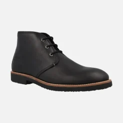 Botines de piel con cordones Panama jack Gael