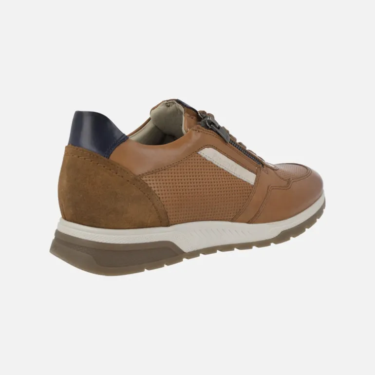 Deportivos de piel con cordones y cremallera Louis