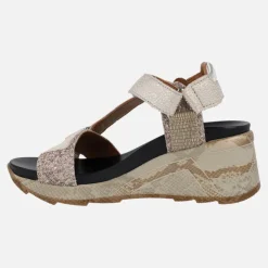 Sandalias de cuña en combinado platino con cierre de velcros