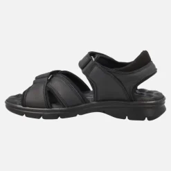 Sandalias de piel para hombre con cierre de velcro Sanders Basics