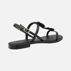 Sandalias planas negras con adornos en dorado Maddalusia