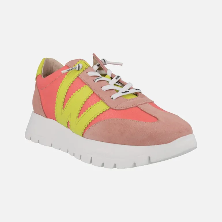 Zapatillas deportivas combinadas Racer con cordones elásticos