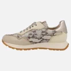 Zapatillas deportivas en print serpiente con cierre de cordones