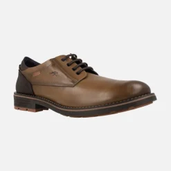 Zapatos blucher con cordones para hombre Terry F1340