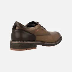 Zapatos blucher con cordones para hombre Terry F1340