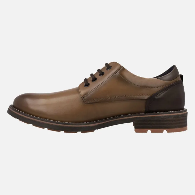 Zapatos blucher con cordones para hombre Terry F1340