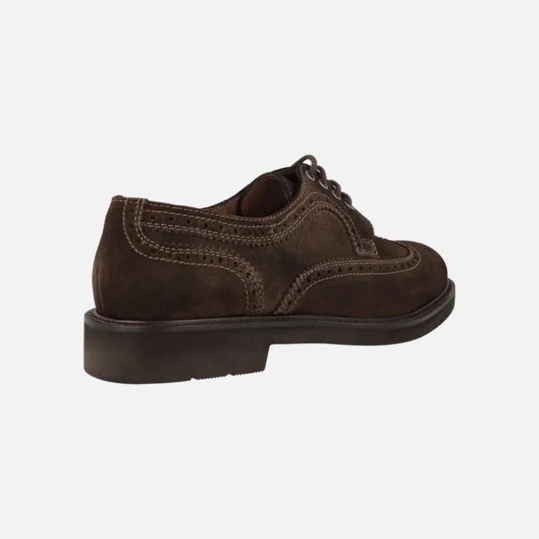 Zapatos de cordones blucher para hombre Baltimore en ante castor