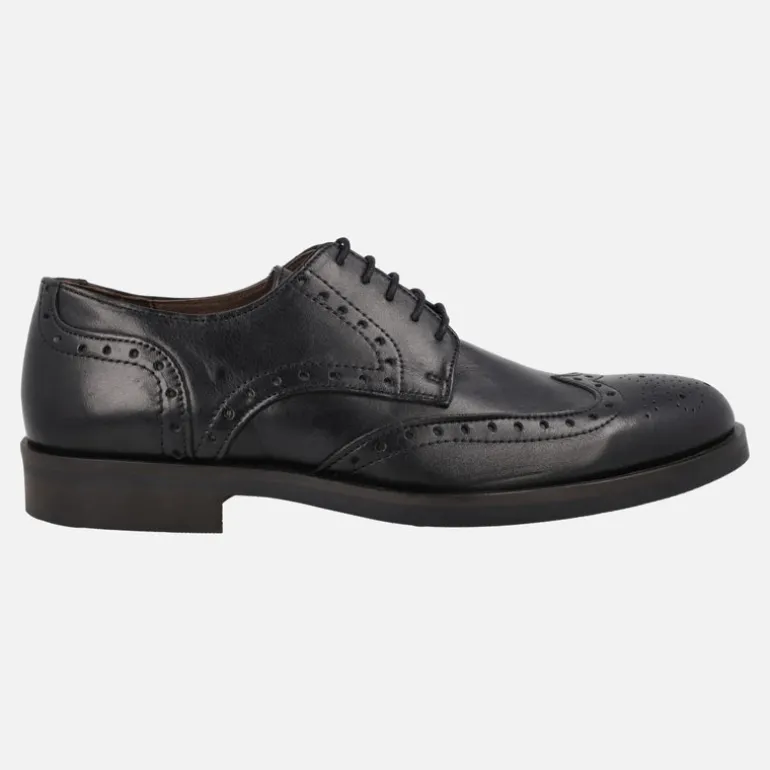 Zapatos de piel con cordones y pala vega