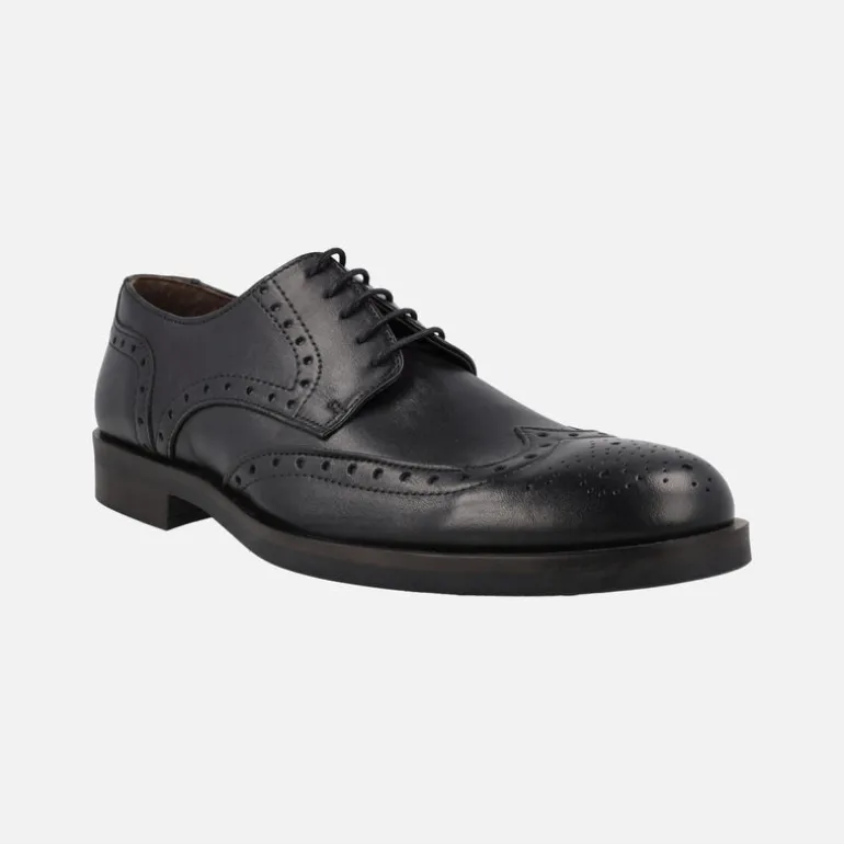 Zapatos de piel con cordones y pala vega