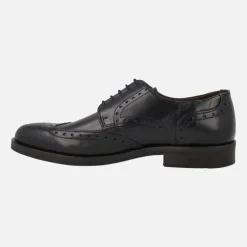 Zapatos de piel con cordones y pala vega