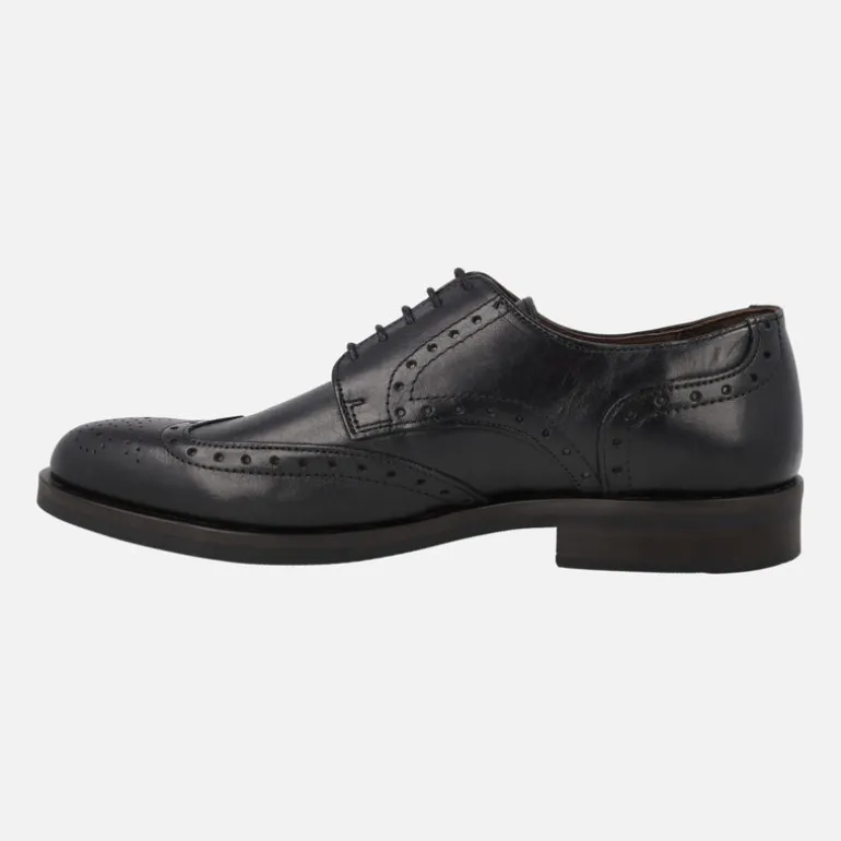 Zapatos de piel con cordones y pala vega