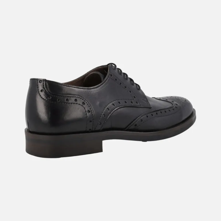 Zapatos de piel con cordones y pala vega