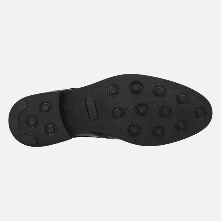 Zapatos de piel con cordones y pala vega
