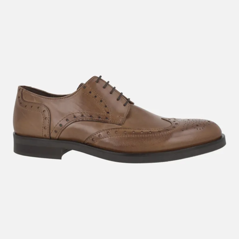 Zapatos de piel con cordones y pala vega