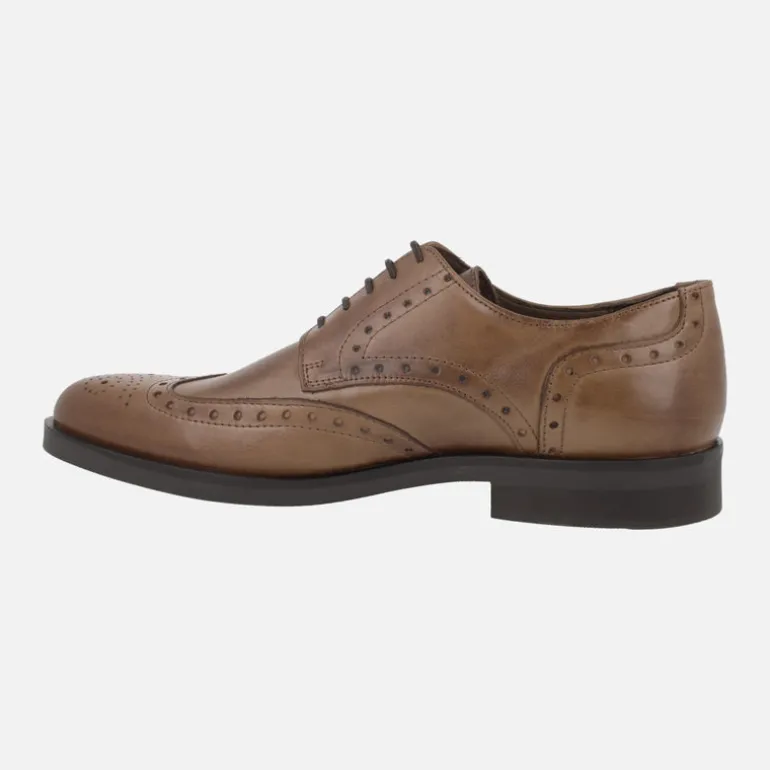 Zapatos de piel con cordones y pala vega