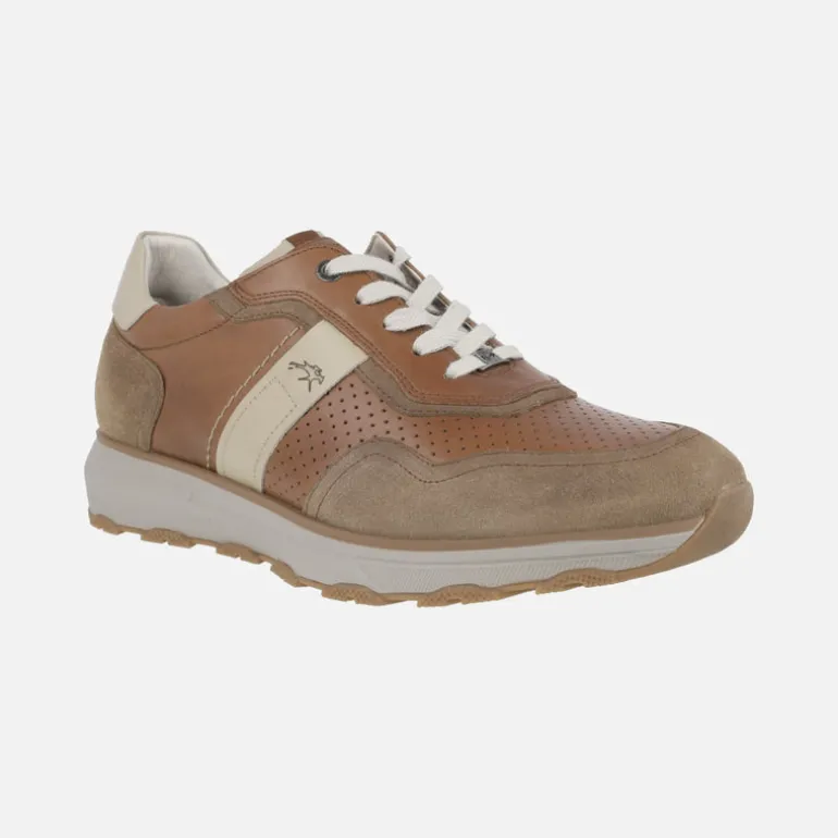 Zapatos deportivos en combinado marrón Walter