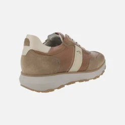 Zapatos deportivos en combinado marrón Walter